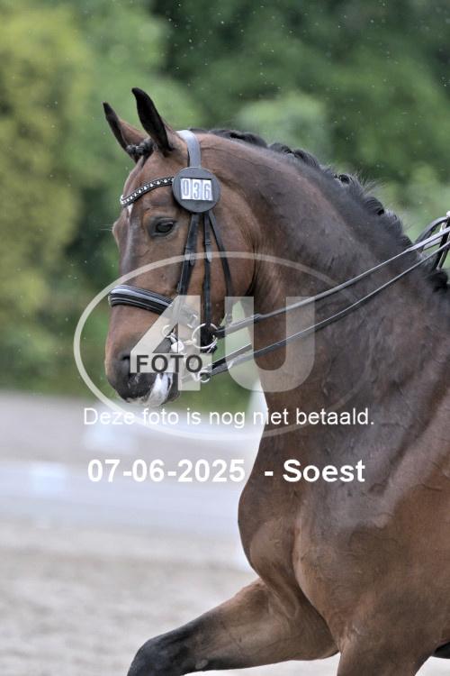 ZZL 9639