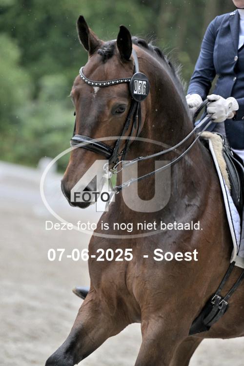 ZZL 9647