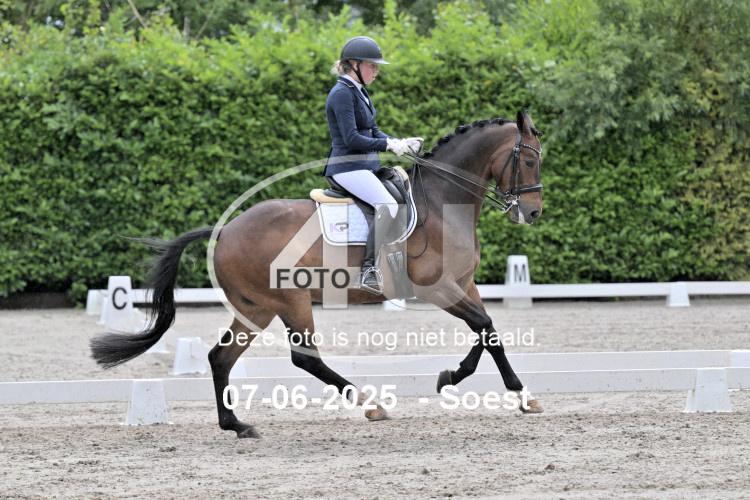 ZZL 9649