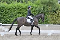 ZZL 9459