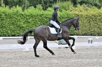 ZZL 9479