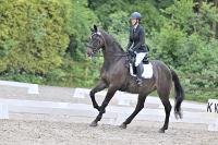 ZZL 9485