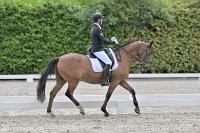 ZZL 9547