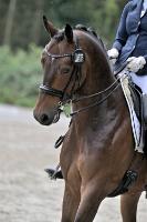ZZL 9572