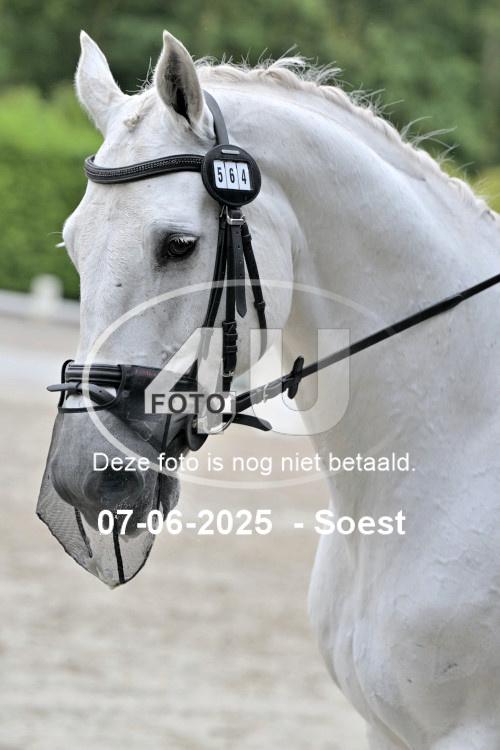 BLM 9777