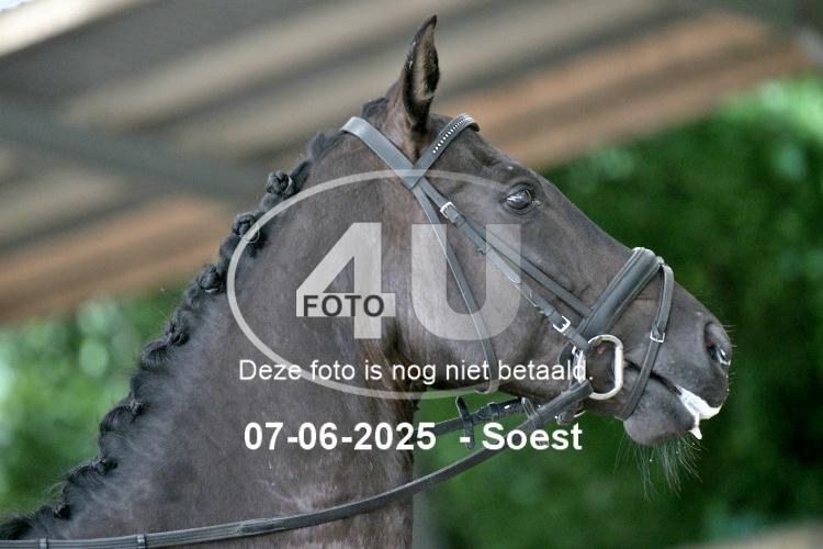 LLL 0183