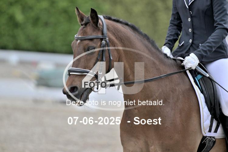 LLL 0408
