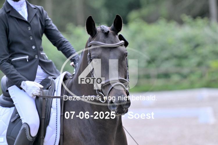 LLL 0447
