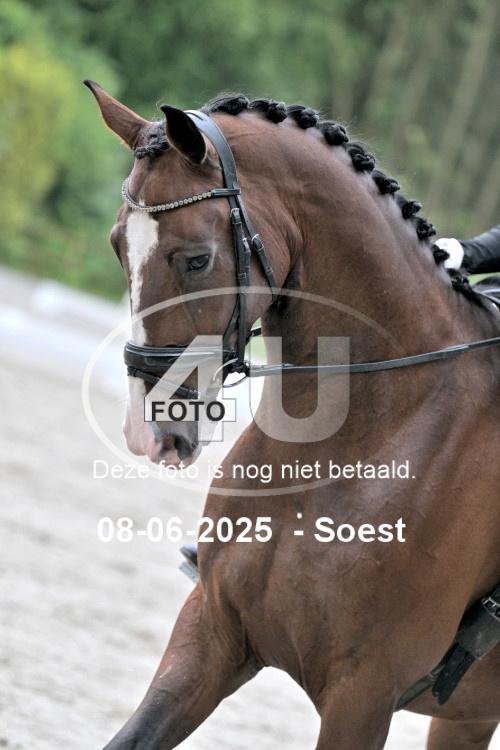 250608  0073