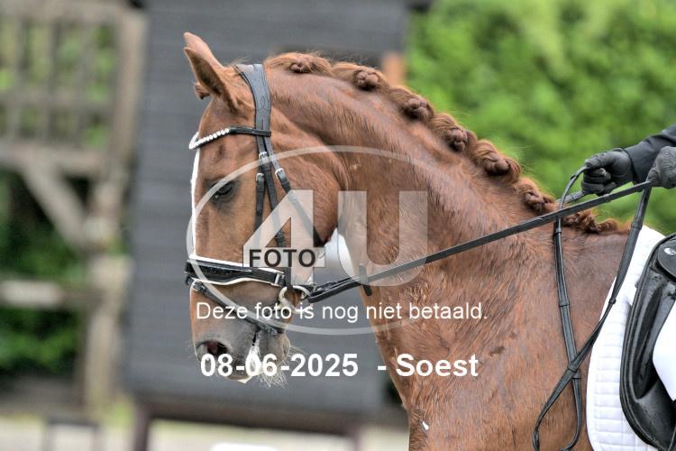 250608 0478