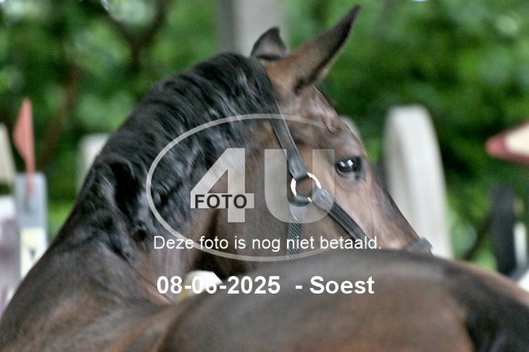 250608 1048
