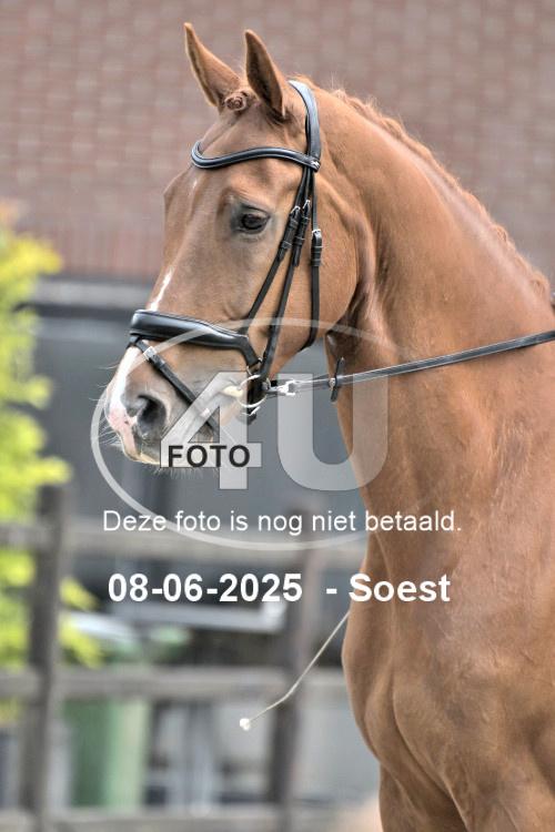 250608 1733