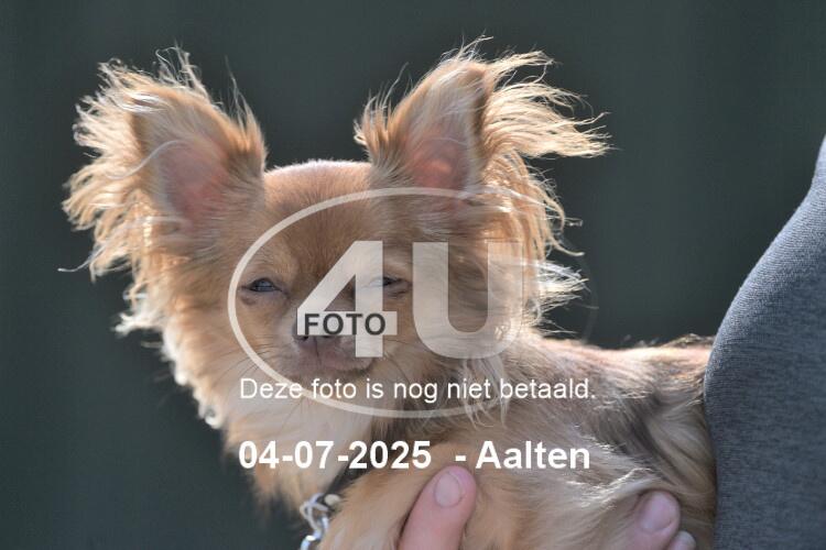 250704 1158