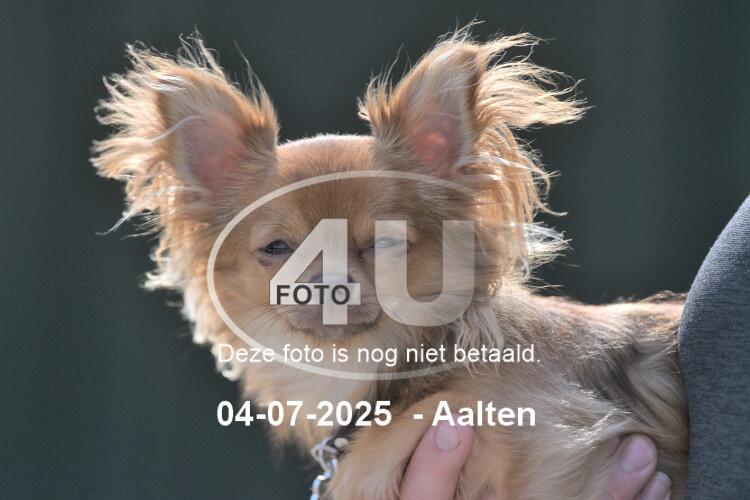 250704 1159