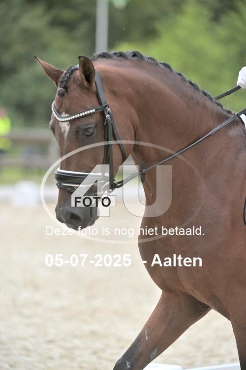 250705 6603