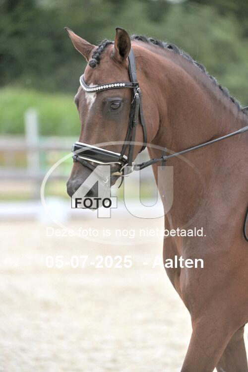 250705 6604