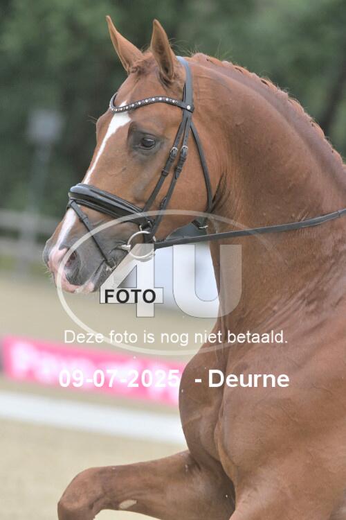 250709 0557