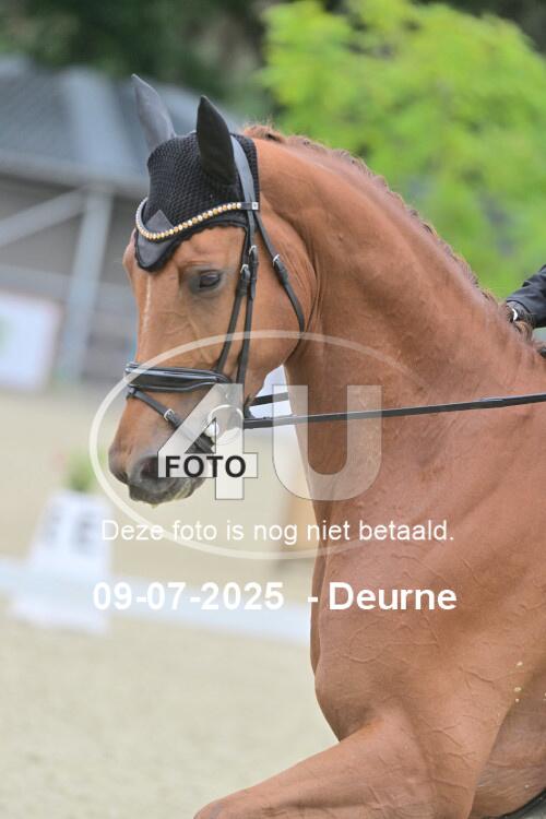 250709 1697