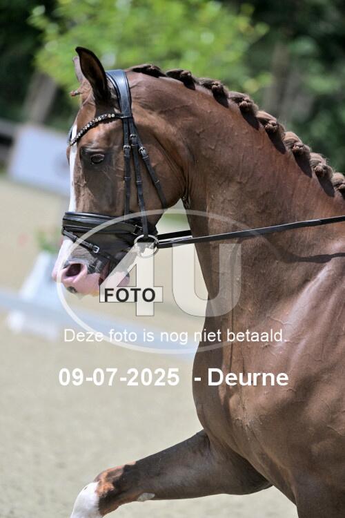 250709 2182