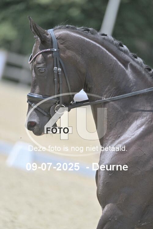 250709 2353