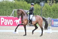 09-07-2025 Deurne