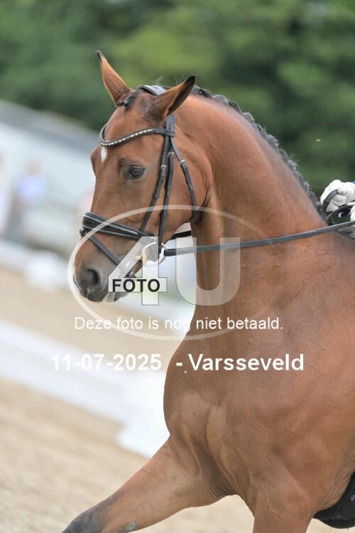 250711 1853