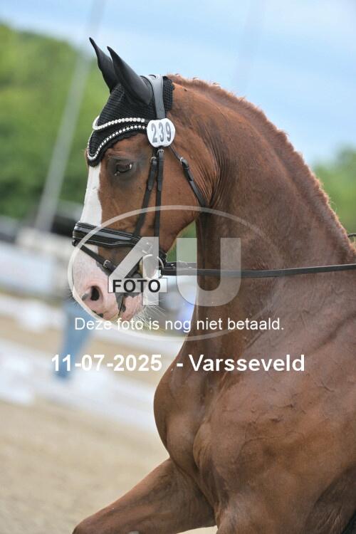 250711 2204