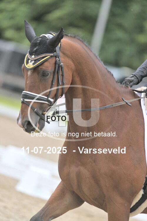 250711 2775