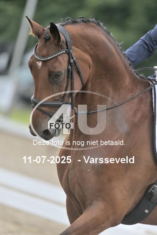 250711 2849
