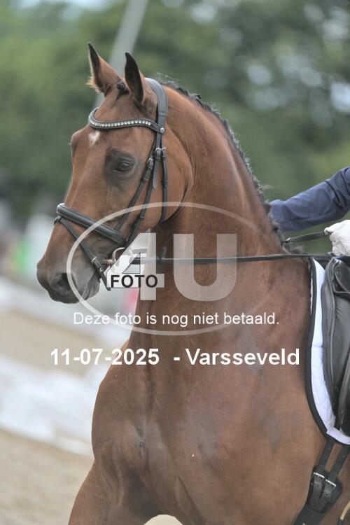 250711 2852