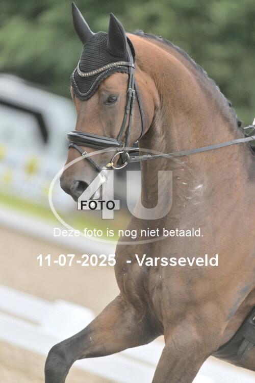 250711 3769