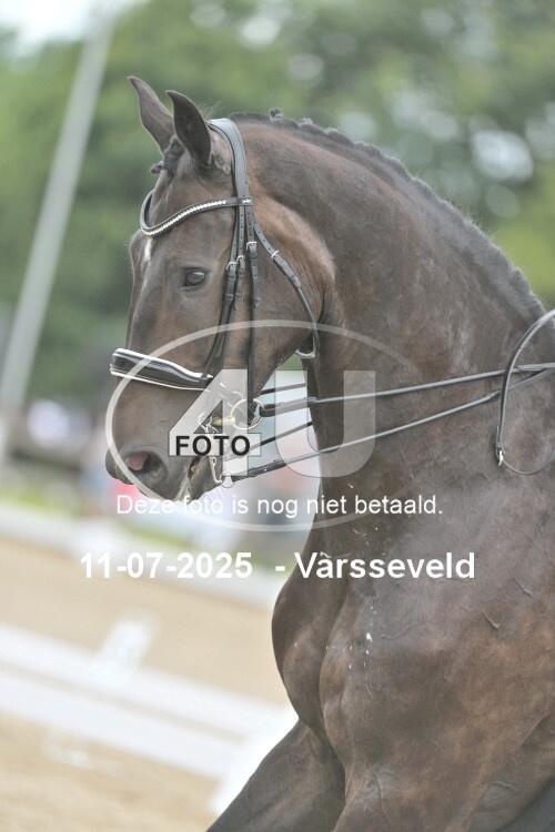 250711 3962