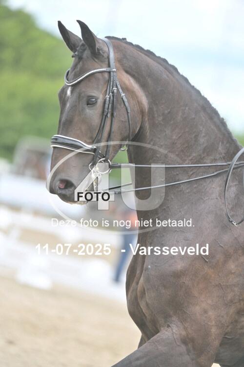 250711 3978