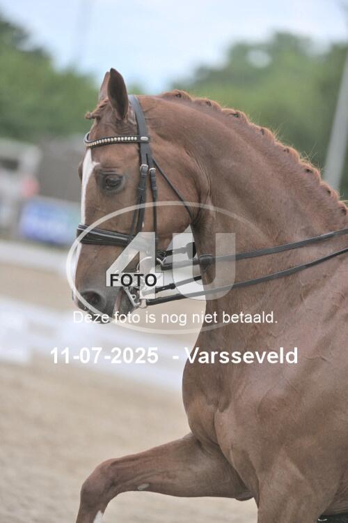 250711 4077