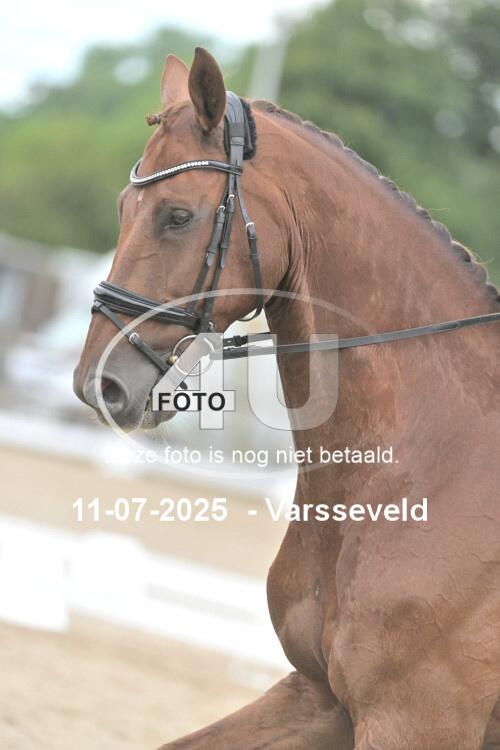 250711 4227
