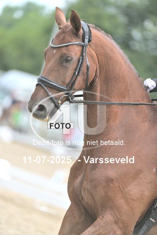 250711 4279