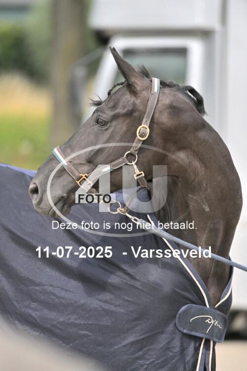 250711 4610