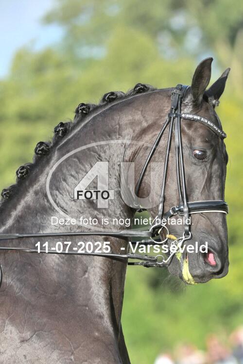 250711 5546