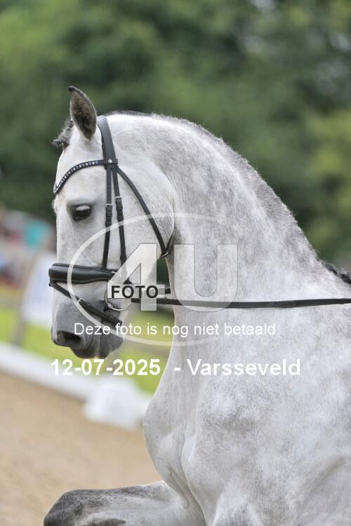 250712 0698