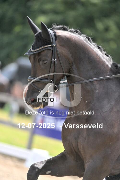 250712 2896