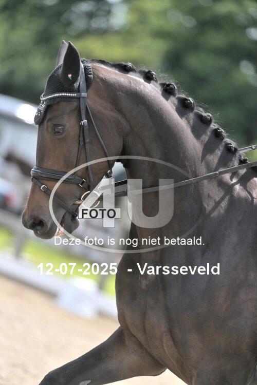 250712 2931