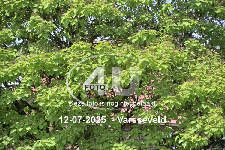250712 3152