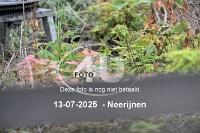 250713 0417