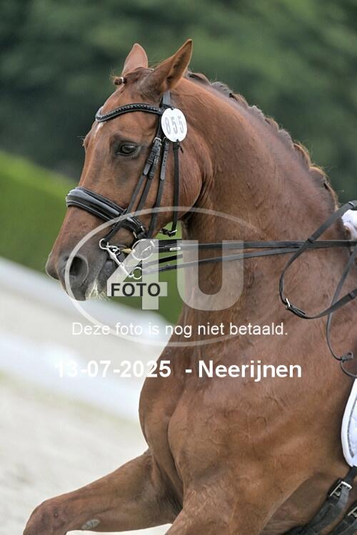 250713 0665