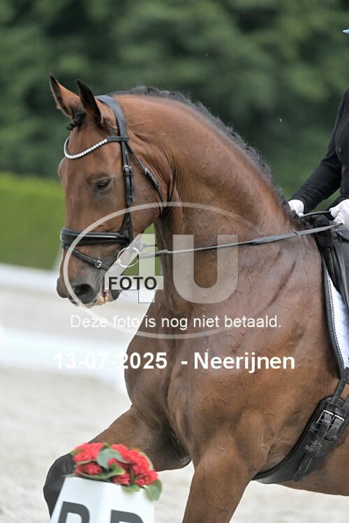 250713 0979