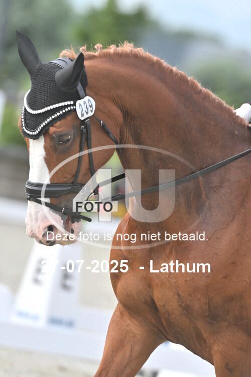 250727 0394