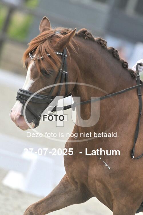 250727 0532
