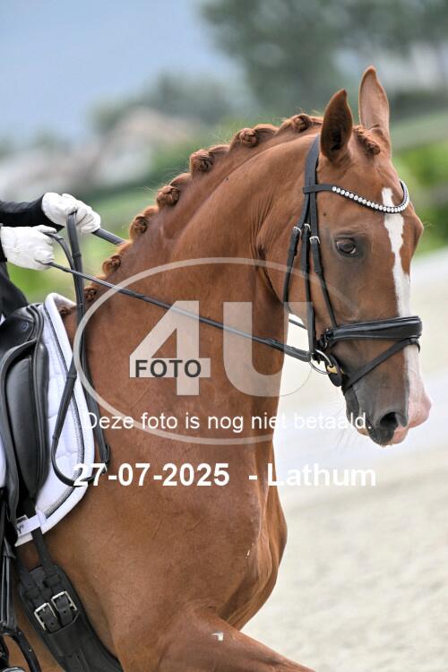 250727 2613
