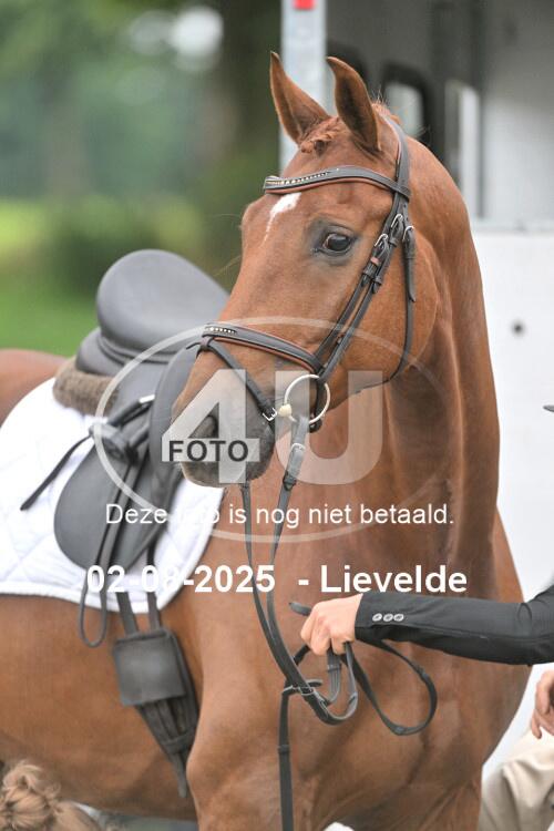 250802 0816