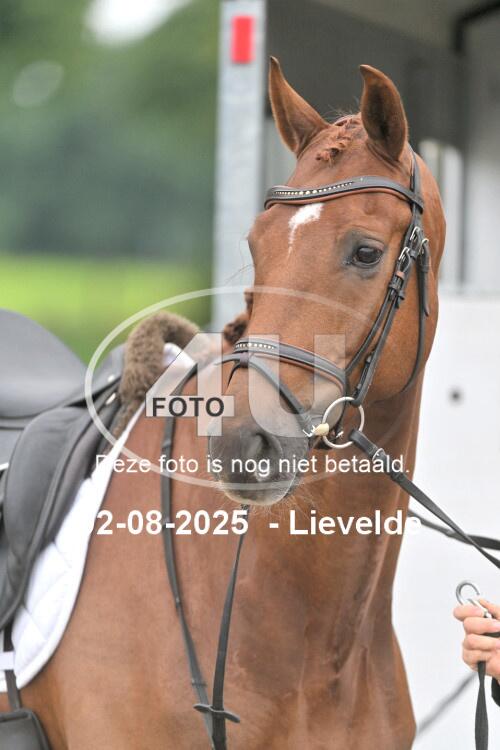 250802 0824
